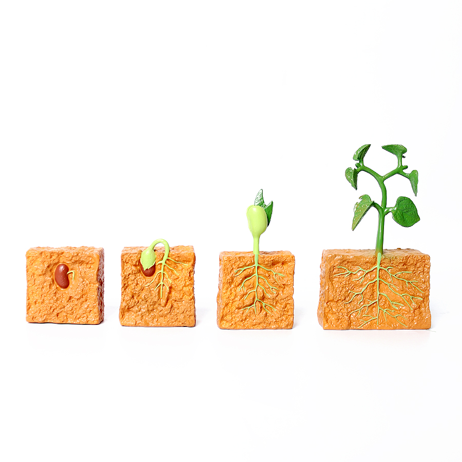 Kids Toys Reviews - 豆の一生の過程を示すプラスチック製のカメ、タコ、白鳥のフィギュアセット、モンテッソーリ動物フィギュア、アクションフィギュア、動物モデルのおもちゃ、子供向けギフト