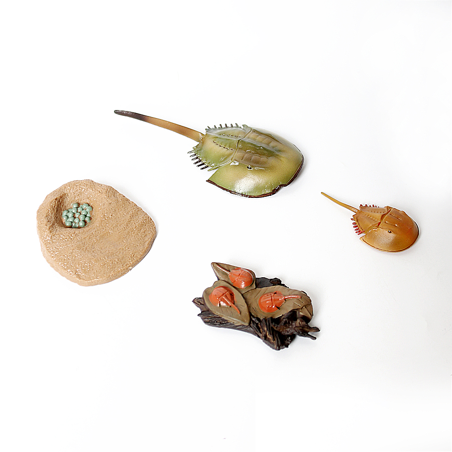 豆の一生の過程を示すプラスチック製のカメ、タコ、白鳥のフィギ - Kids Toys Reviews のレビューと価格