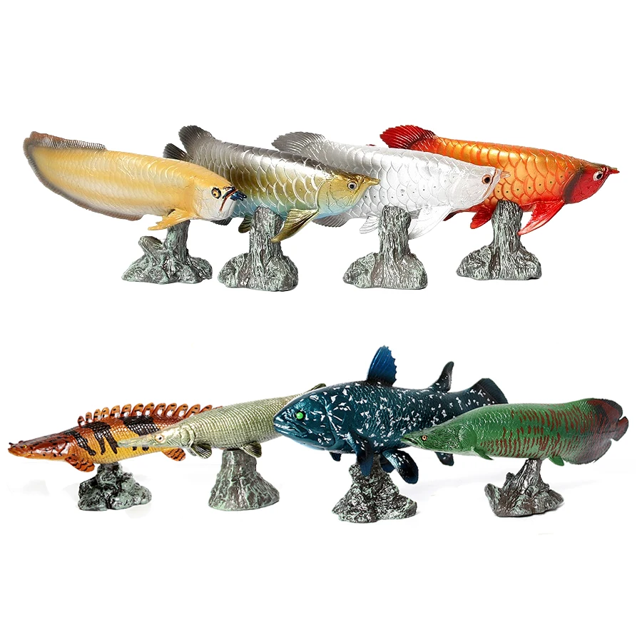 アロワナ ピラルク コエラカンサス ビチル アリゲーター魚モ - Kids Toys Reviews のレビューと価格