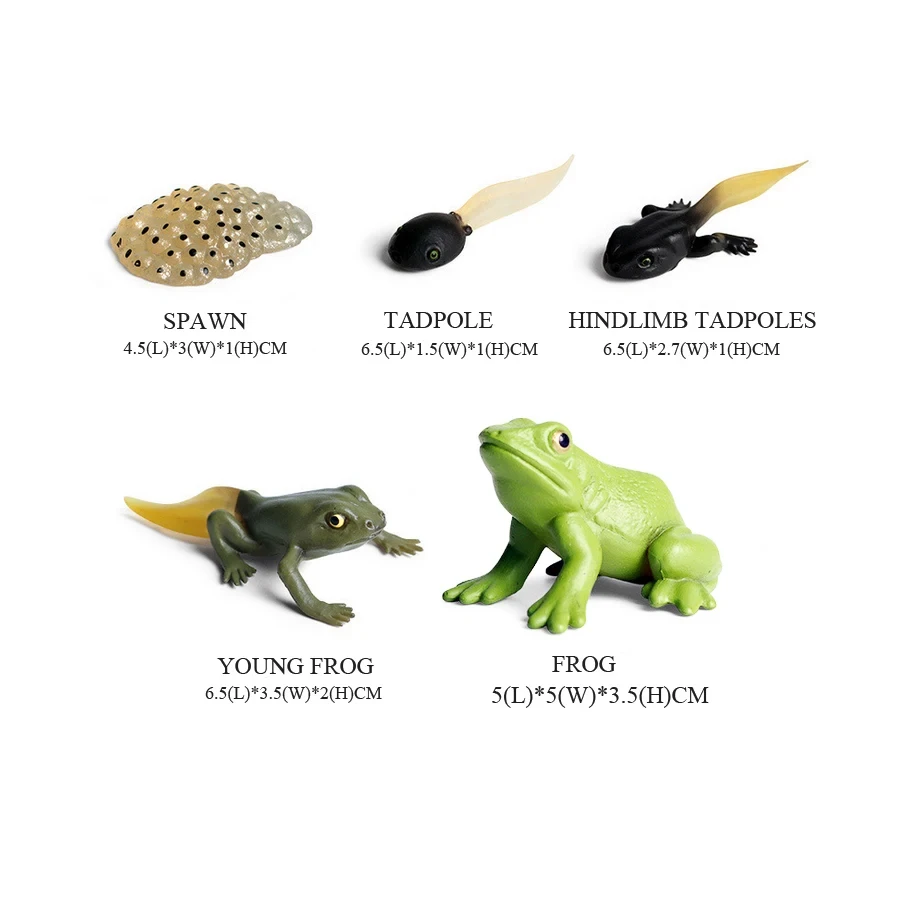 子供のためのプラスチック動物モデルの置物,野生動物,シミュレ - Kids Toys Reviews のレビューと価格