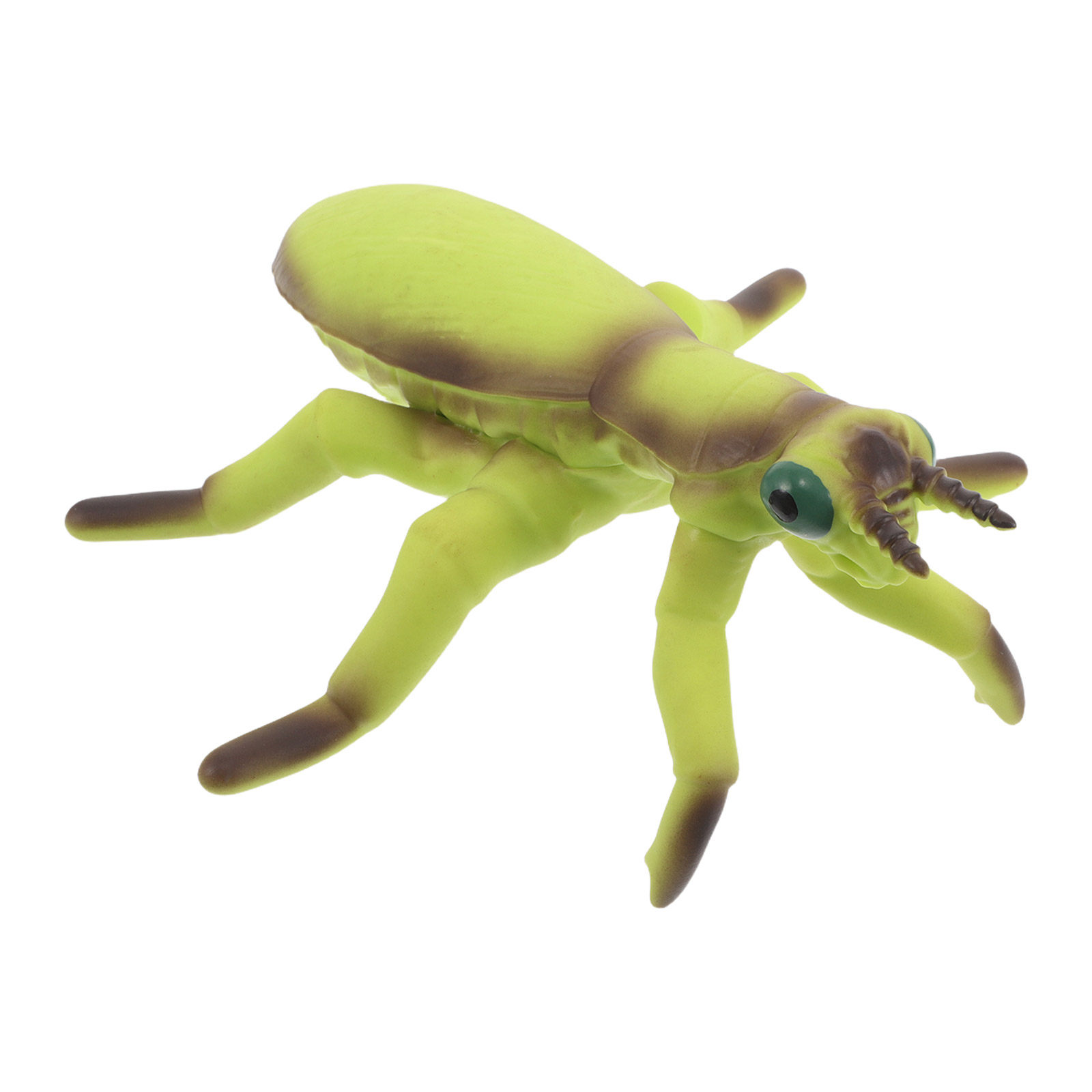 リアルなデザインのイナゴとカマキリのぬいぐるみ – 子供向け - Kids Yard Toys のレビューと価格